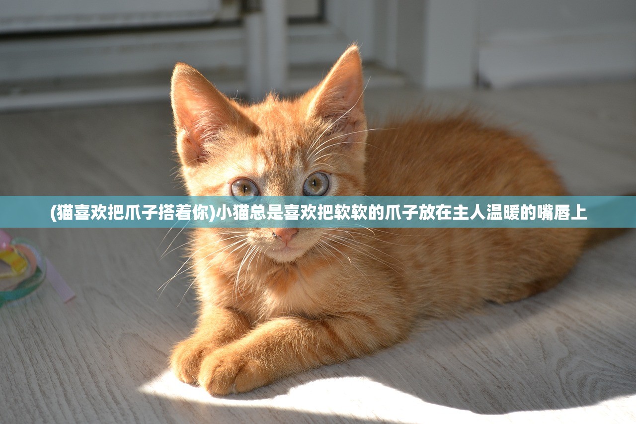 (佣兵小队需要什么职业)探讨佣兵小镇无限钻石版的神秘魅力