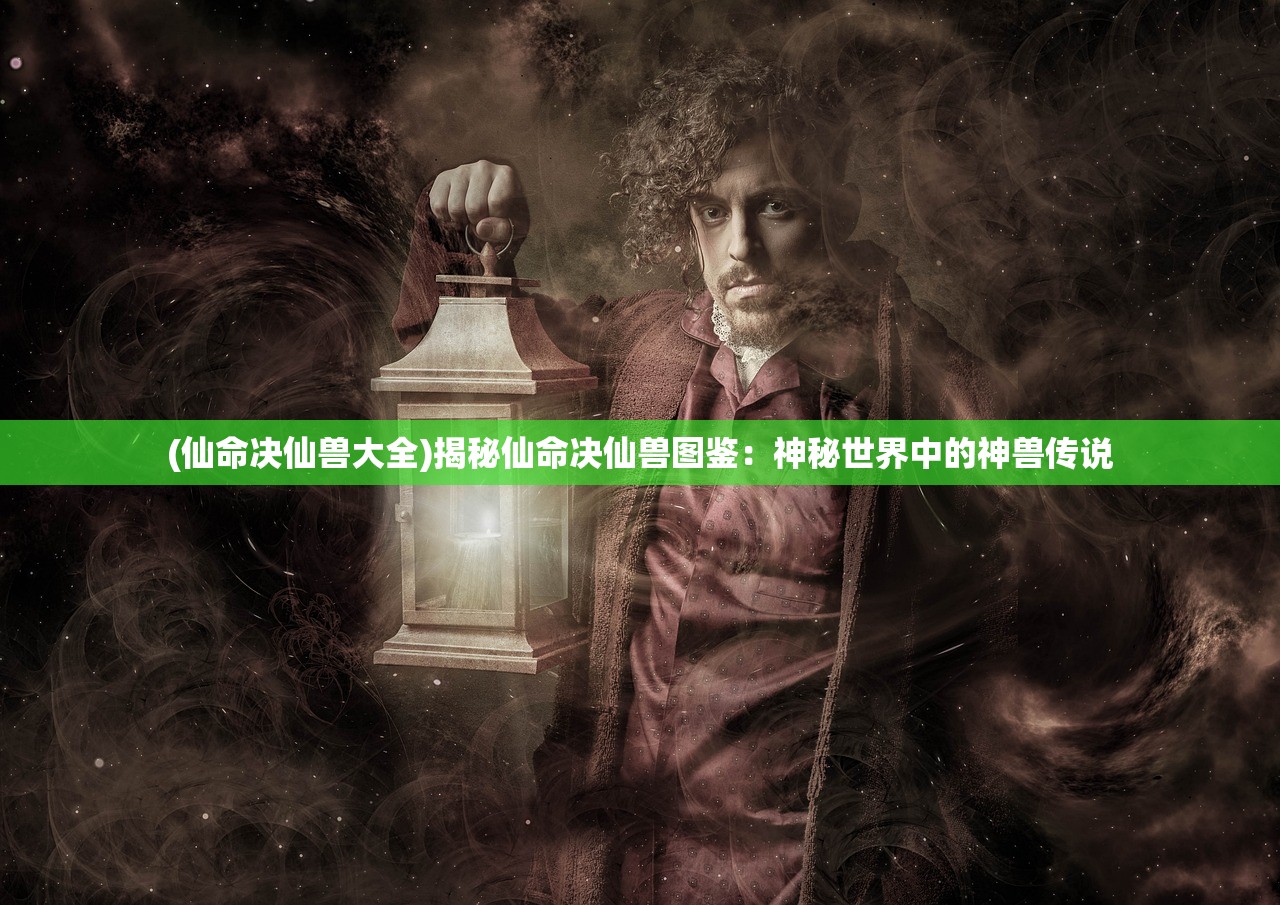 2024最新一轮病毒|探索澳门魅力的另一面_弹性款.8.14