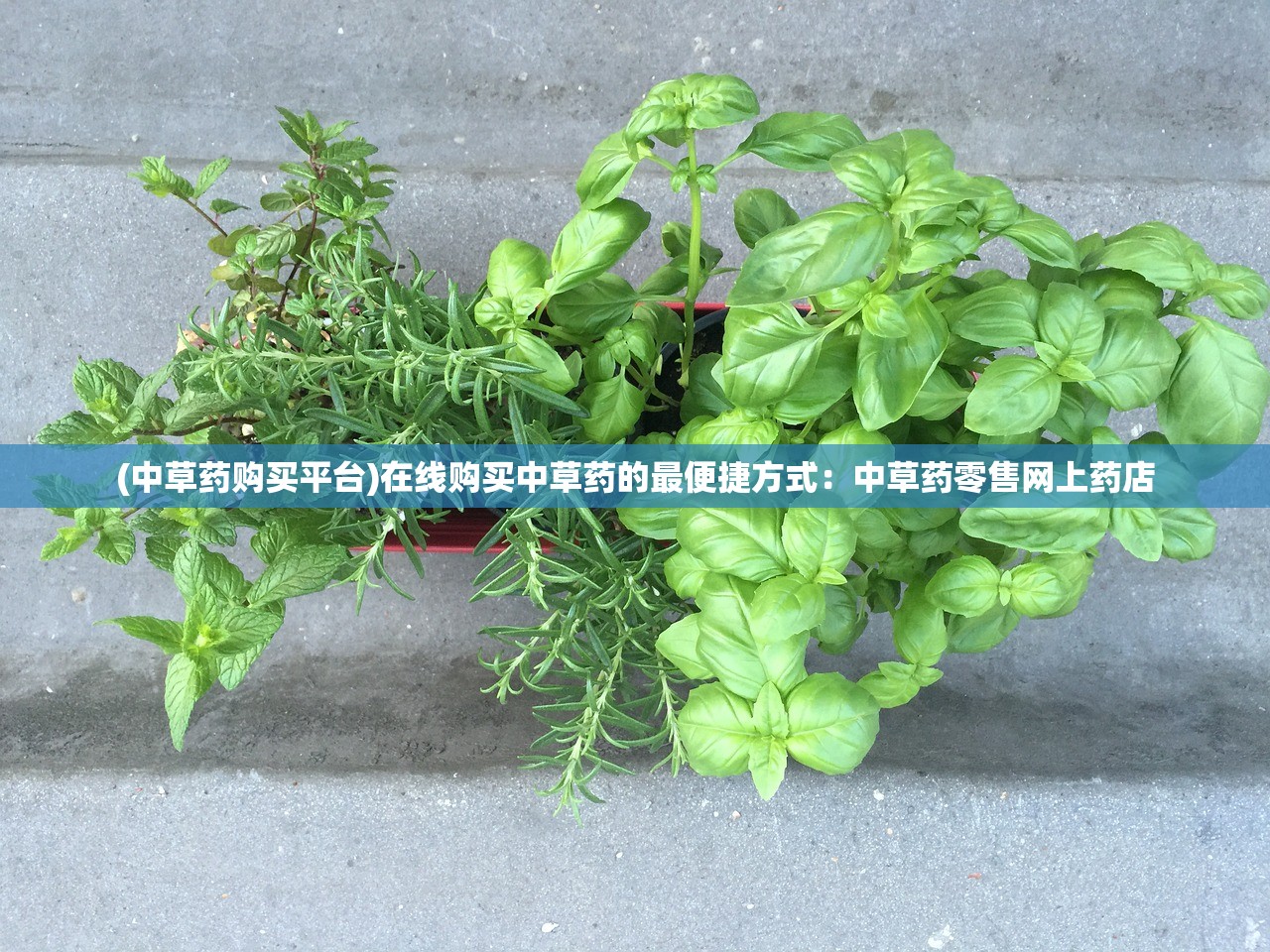 (探索传奇全集视频)探索传奇大陆3D版官网，畅享无限可能的冒险之旅