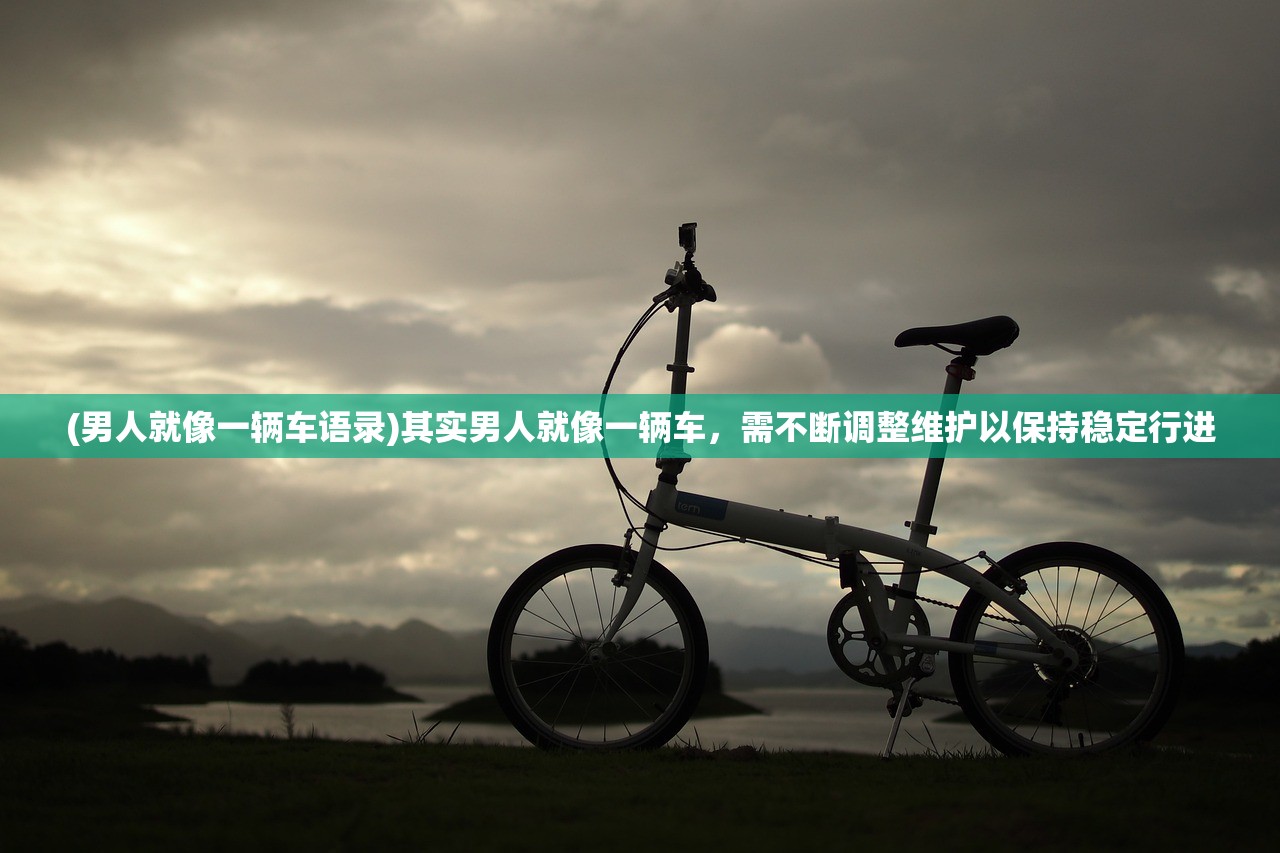 (贪吃蛇无网络单机版大全)贪吃蛇无网络单机版，游戏魅力与独特体验解析