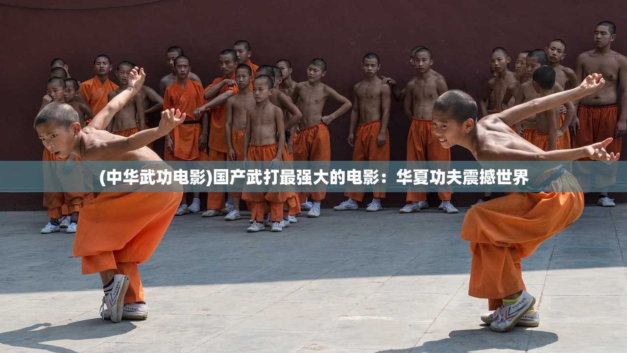 探寻gransaga港服官网的最新资讯和攻略