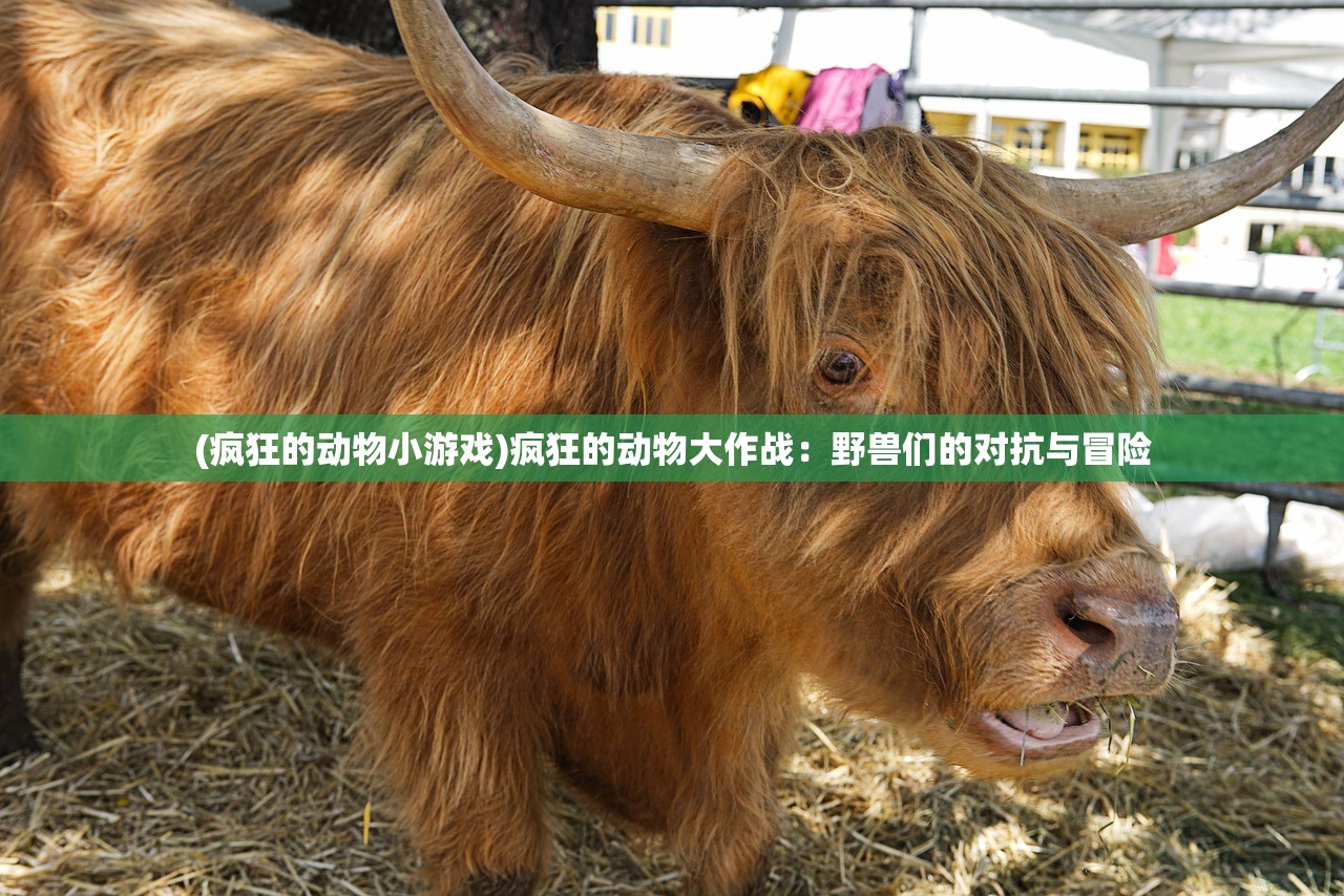 弩子弹药盒子最新版本更新内容：新增多种弹药选择，提升射击体验