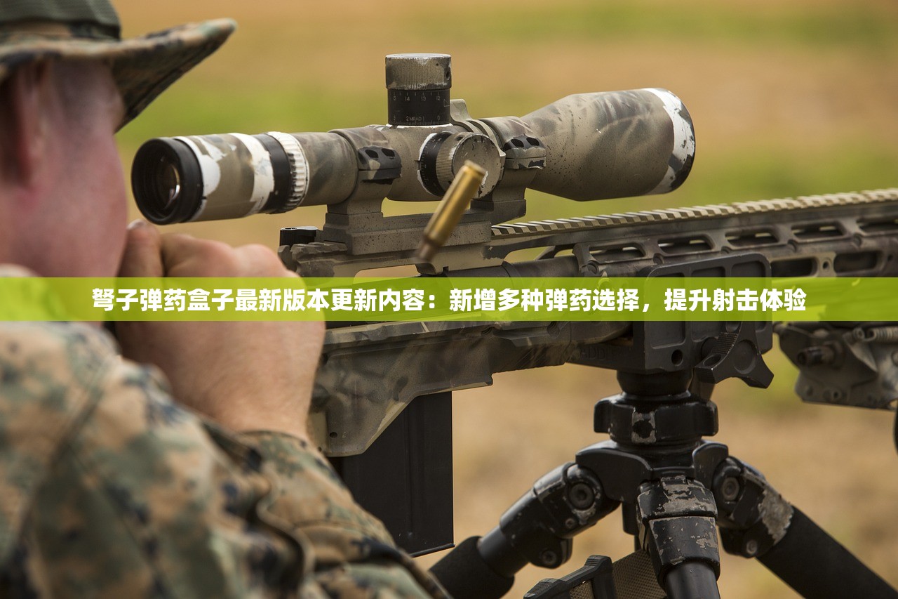 弩子弹药盒子最新版本更新内容：新增多种弹药选择，提升射击体验