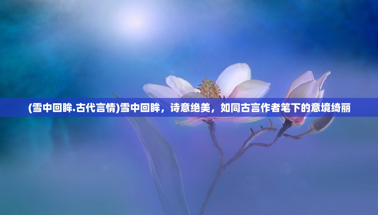 (雪中回眸.古代言情)雪中回眸，诗意绝美，如同古言作者笔下的意境绮丽