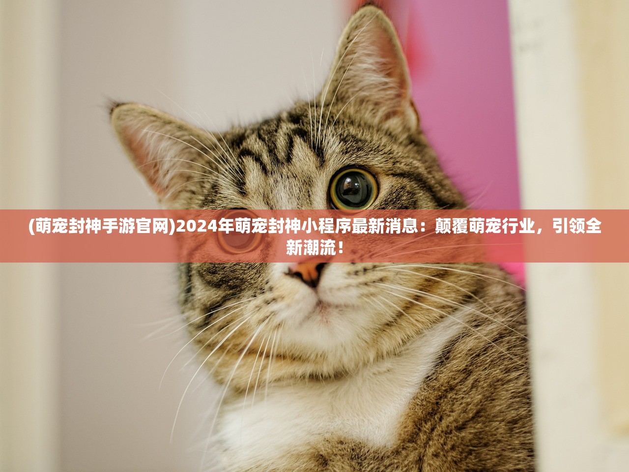 (萌宠封神手游官网)2024年萌宠封神小程序最新消息：颠覆萌宠行业，引领全新潮流！