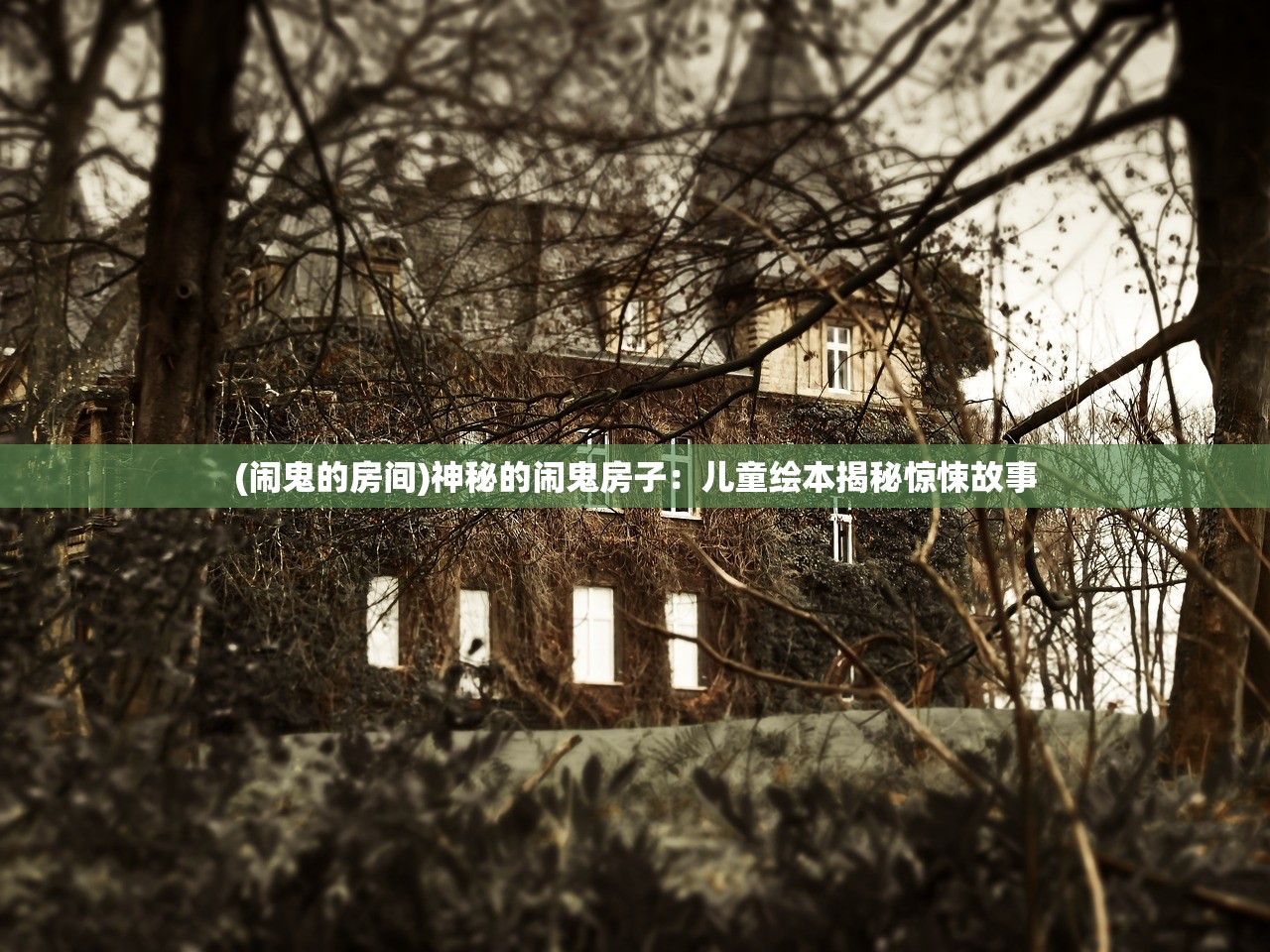 (闹鬼的房间)神秘的闹鬼房子：儿童绘本揭秘惊悚故事