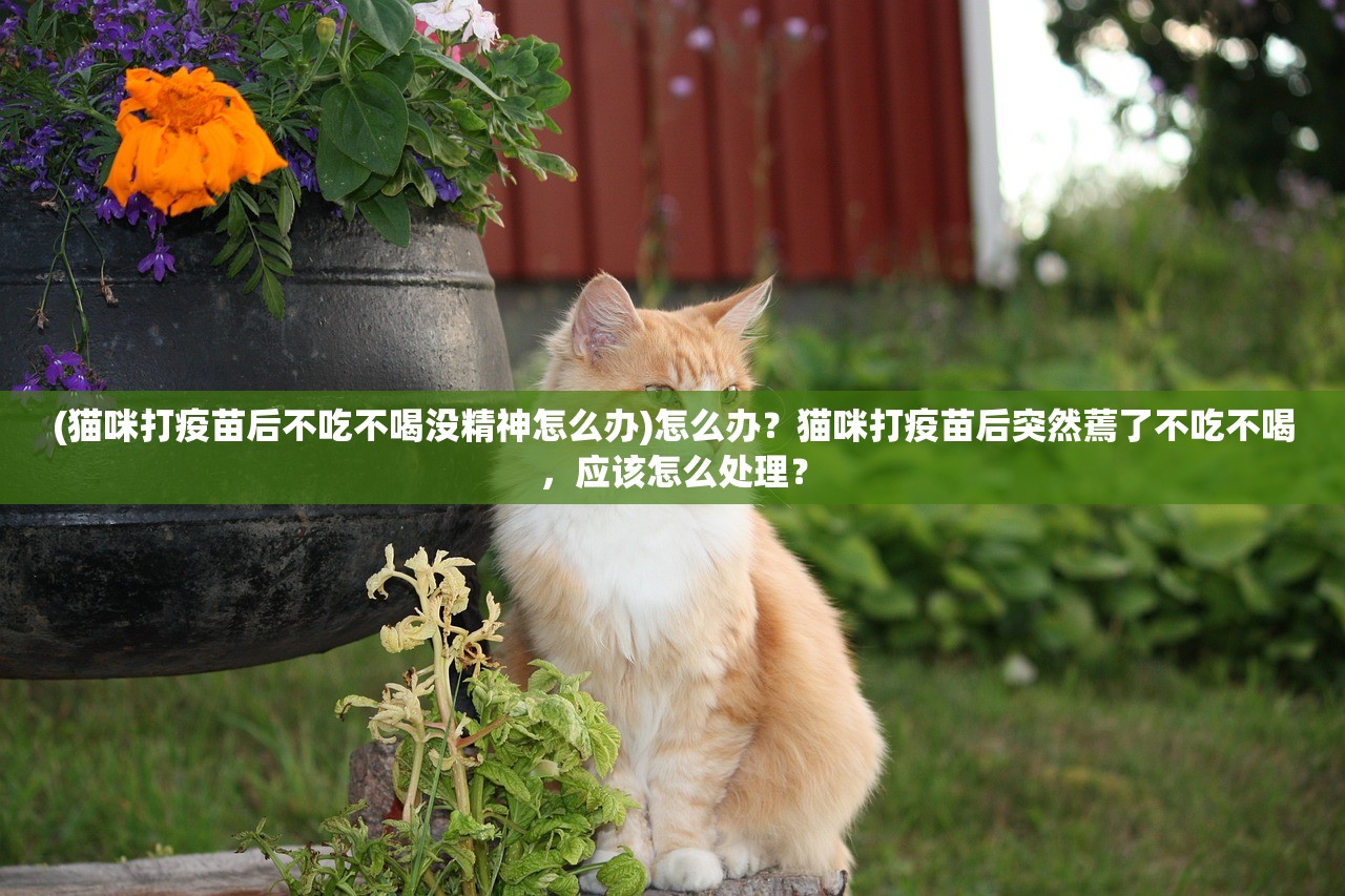作者锦绣写的全部作品:风华绝代,文采飞扬,精彩纷呈,震撼人心 作者锦绣写的全部作品:风华绝代,文采飞扬,精彩纷呈,震撼人心