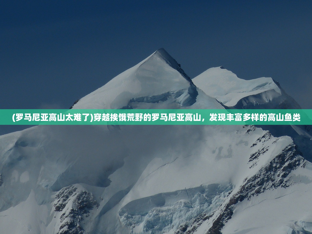 (千年九剑魔龙传不灭体哪里兑换的)千年九剑魔龙传，古老传说与奇幻世界的交融