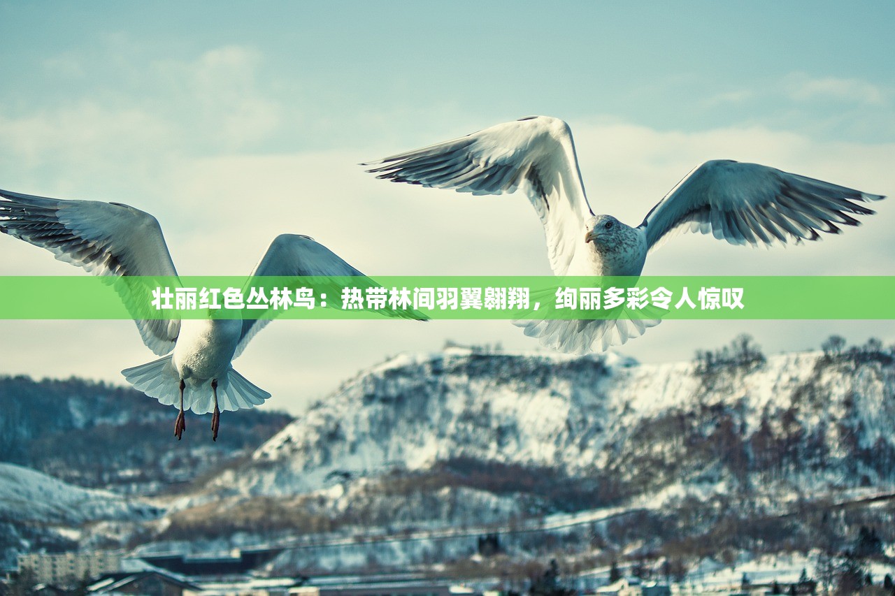 新澳门今晚平特一肖|探讨国产化对解答的影响_潮流版IP.2.726