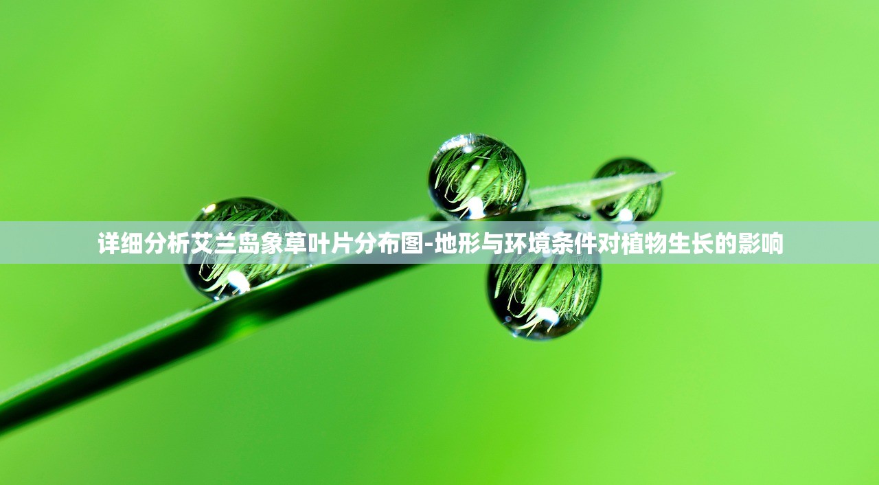 (dota祈求者出装顺序)Dota1祈求者出装攻略：如何打造最强的装备组合？