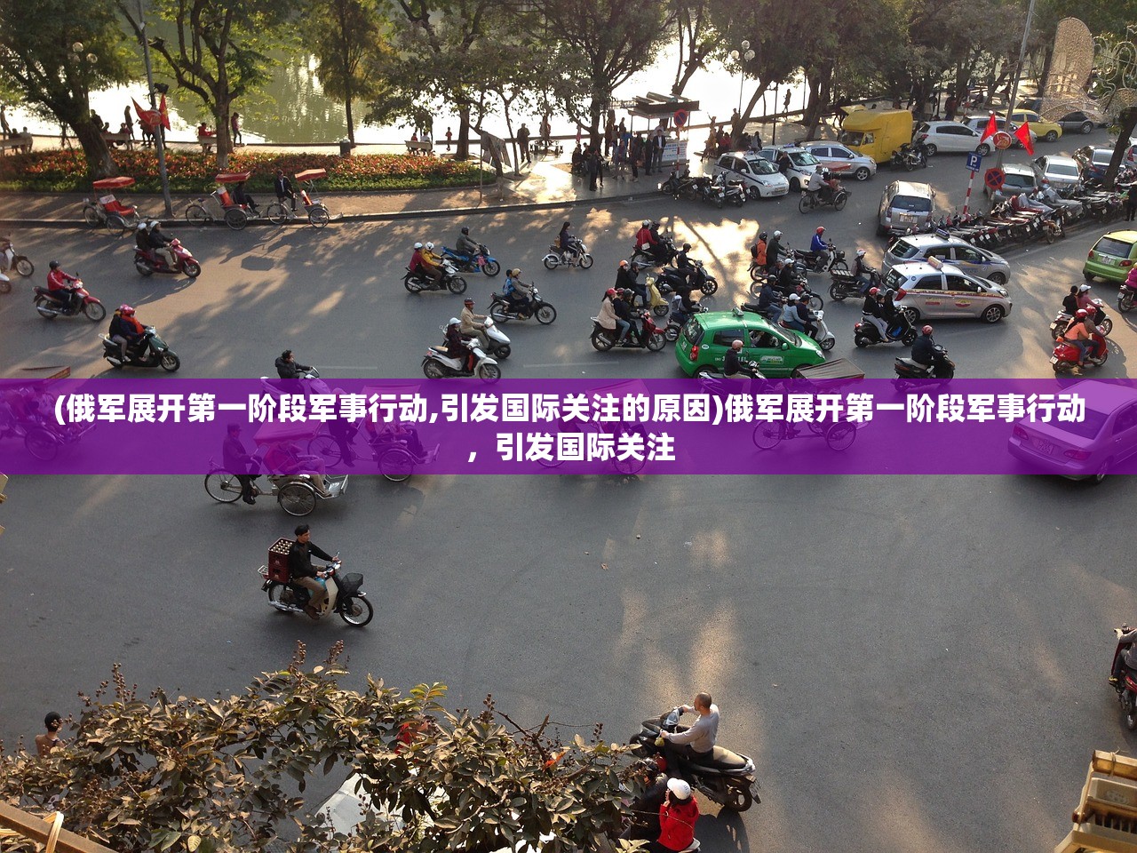 可爱卷毛蜜波利仓鼠：魅力十足的小伙伴