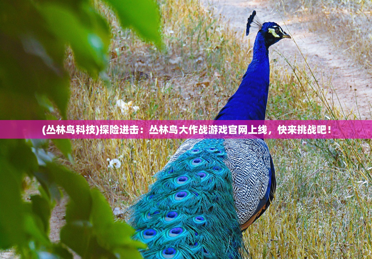 香港开奖记录查询|自然之美与心灵之旅_连续集.9.517