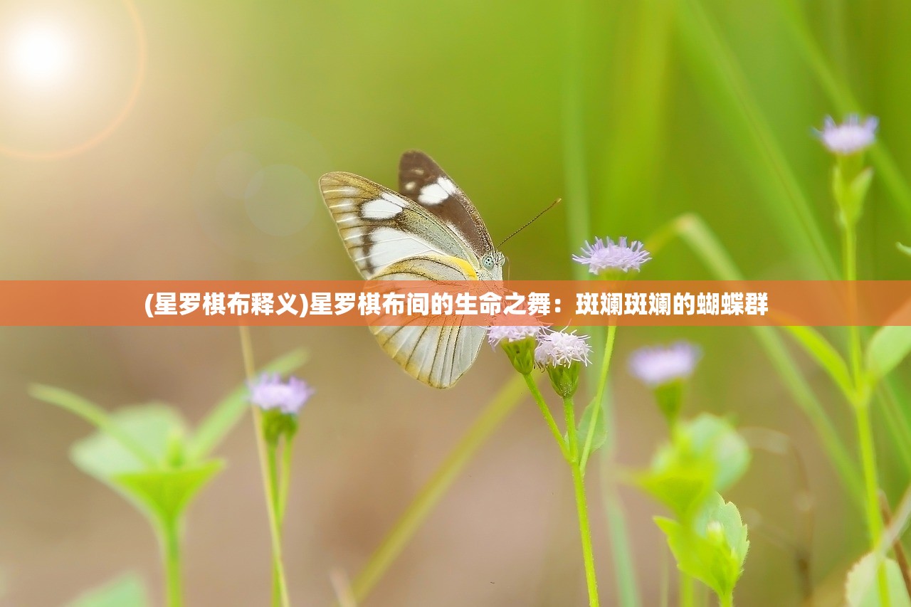 2024新澳门正版免费|时代资料解释落实_LT.8.383