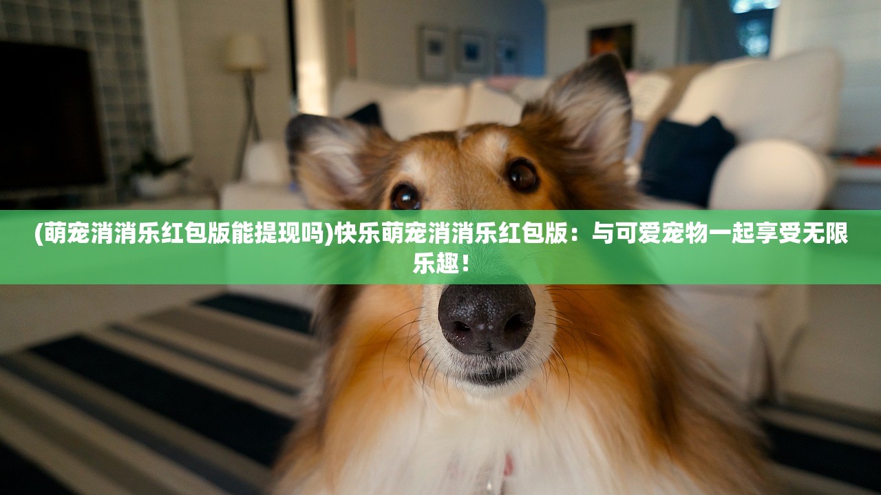 天龙八部手游伴行商城在哪？尽在指尖间，轻松购买装备和道具！