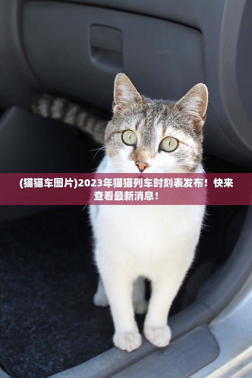 (猫猫车图片)2023年猫猫列车时刻表发布！快来查看最新消息！
