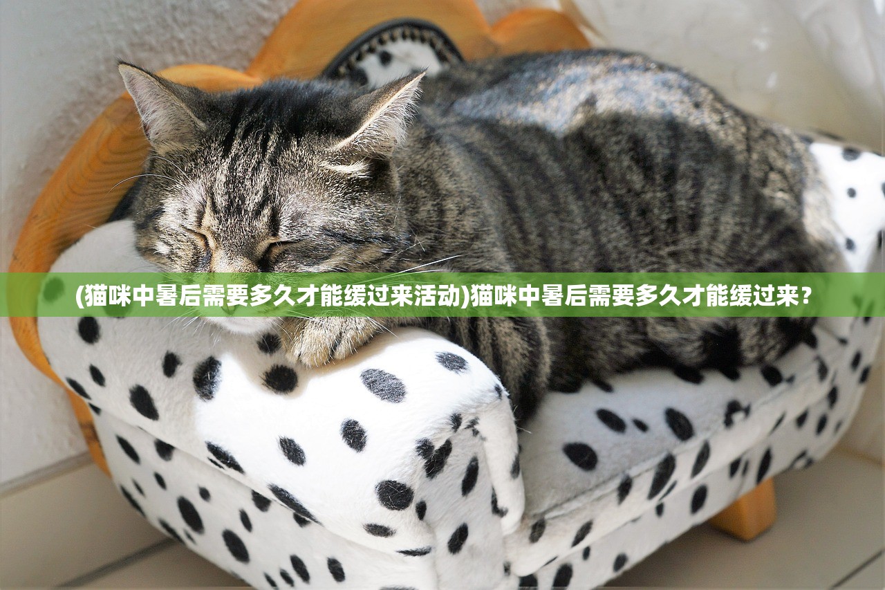 (猫咪中暑后需要多久才能缓过来活动)猫咪中暑后需要多久才能缓过来？