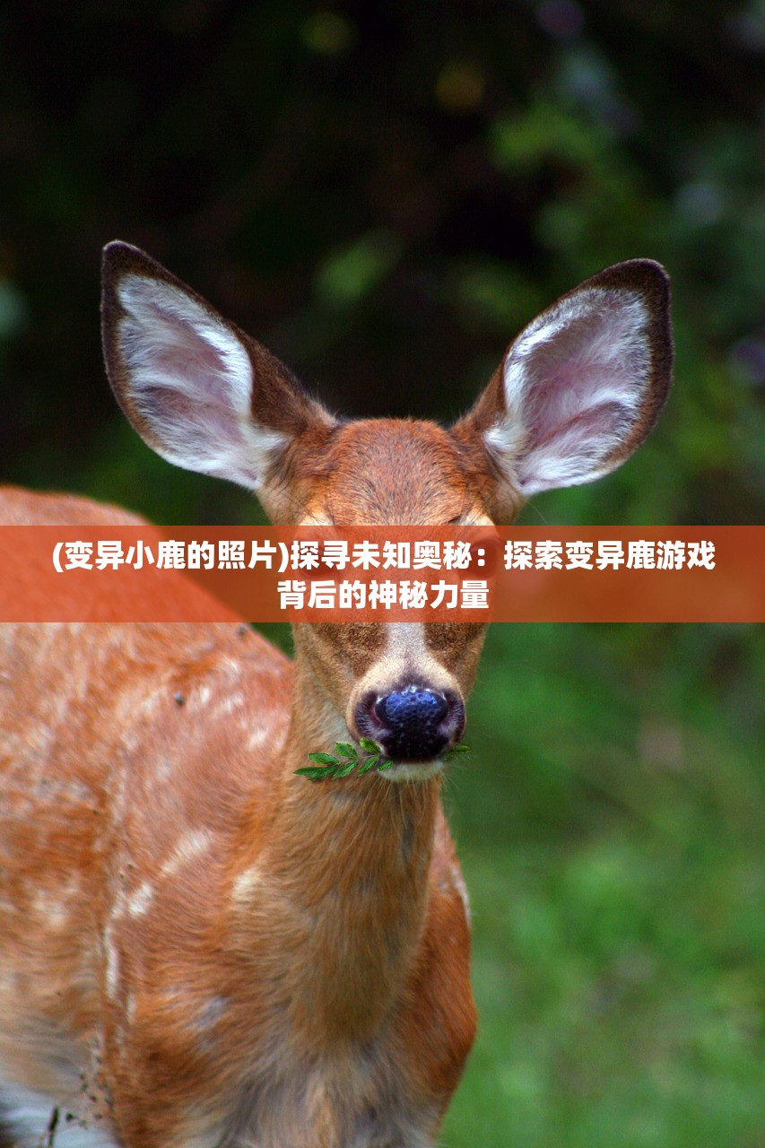 (变异小鹿的照片)探寻未知奥秘：探索变异鹿游戏背后的神秘力量