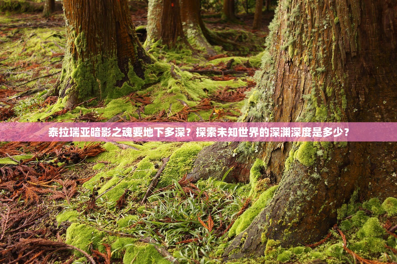 泰拉瑞亚暗影之魂要地下多深?探索未知世界的深渊深度是多少? 泰拉瑞亚暗影之魂要地下多深?探索未知世界的深渊深度是多少?