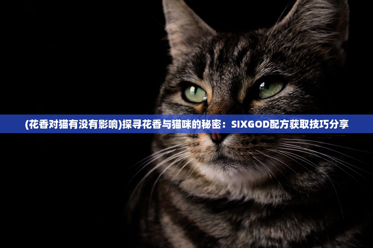 (花香对猫有没有影响)探寻花香与猫咪的秘密：SIXGOD配方获取技巧分享