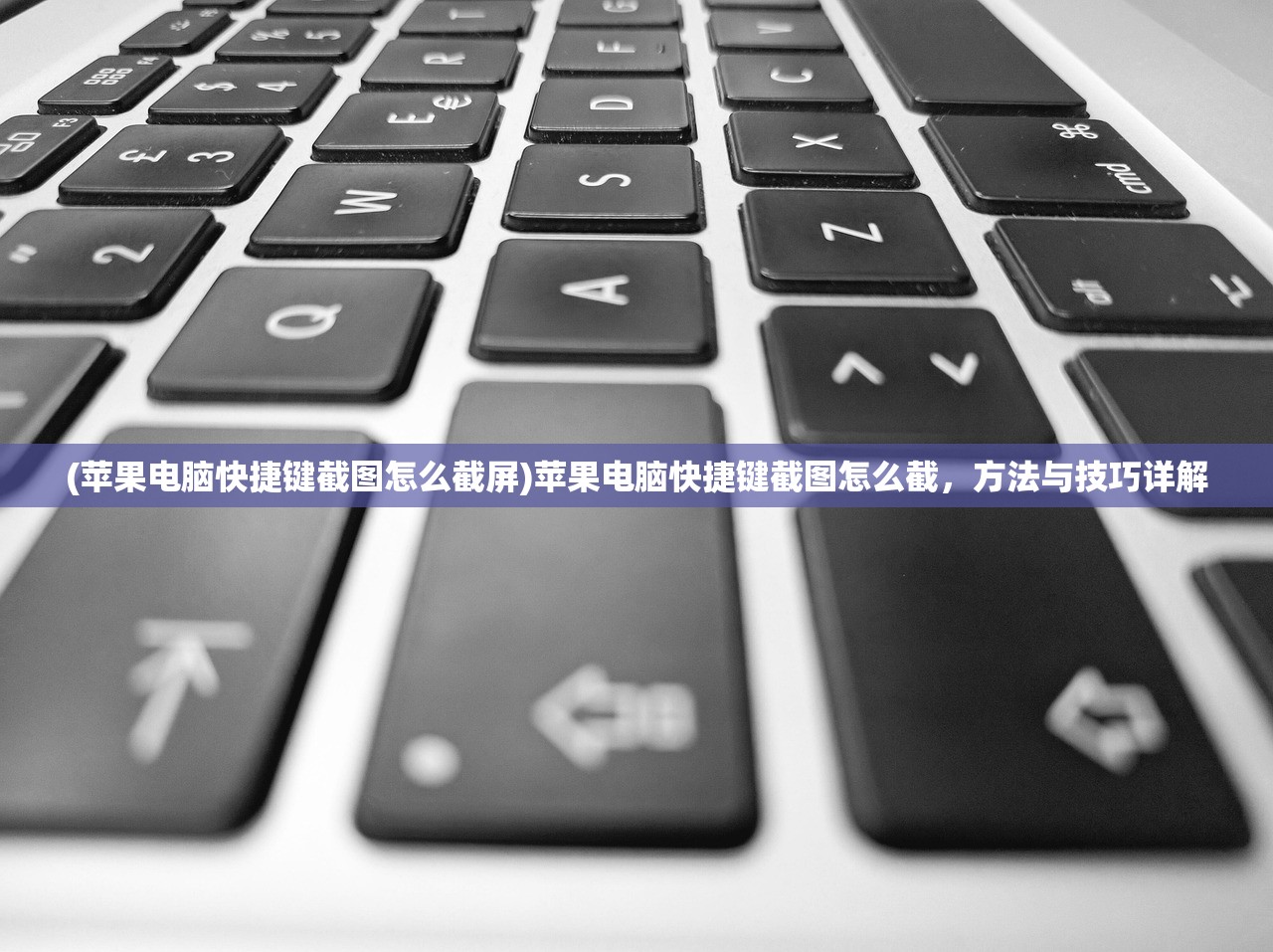(原始征途官网)原始征途，痞帅个人简历揭秘