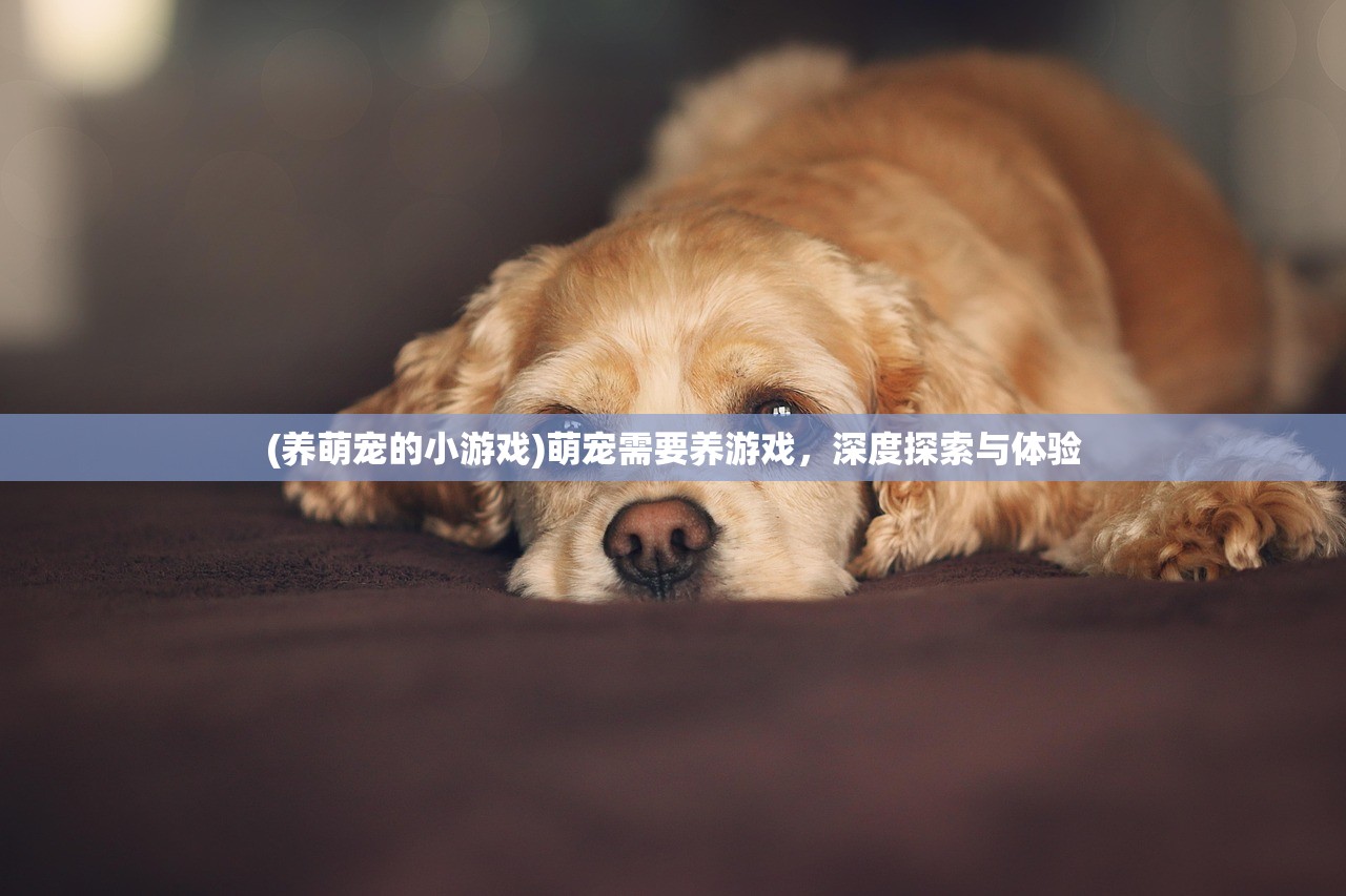 (养萌宠的小游戏)萌宠需要养游戏，深度探索与体验