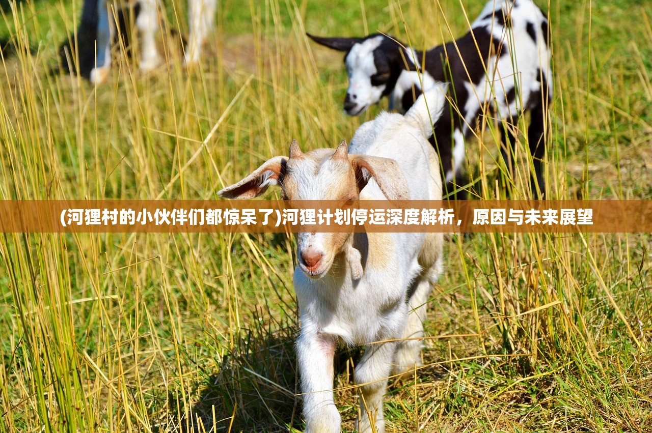 (河狸村的小伙伴们都惊呆了)河狸计划停运深度解析,原因与未来展望 (河狸村的小伙伴们都惊呆了)河狸计划停运深度解析,原因与未来展望