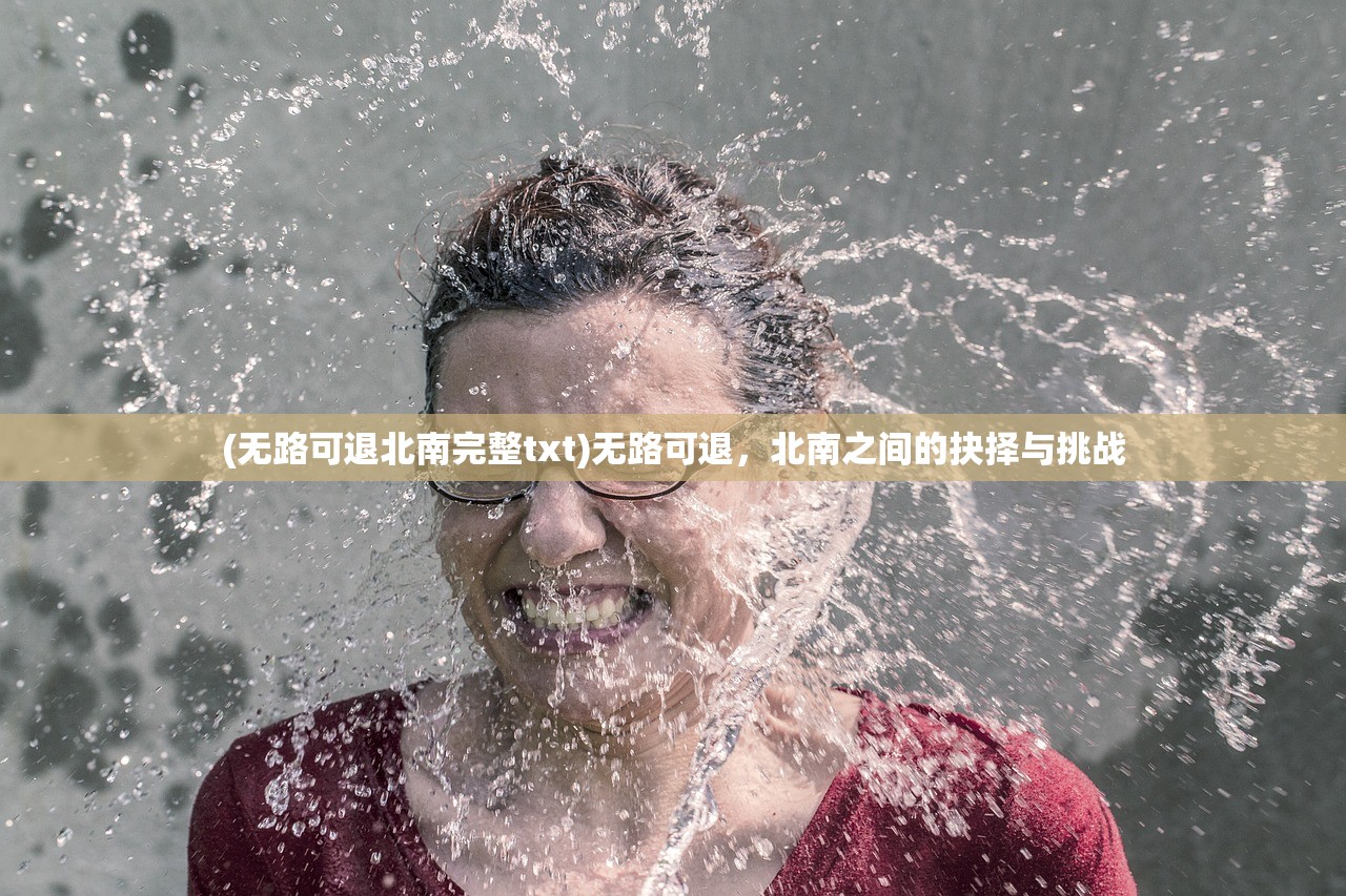 (无路可退北南完整txt)无路可退，北南之间的抉择与挑战