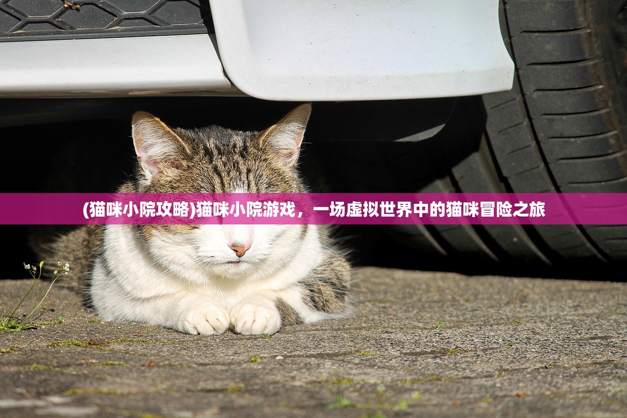 (主公快点吧)主公快点儿！策略与行动力的双重驱动