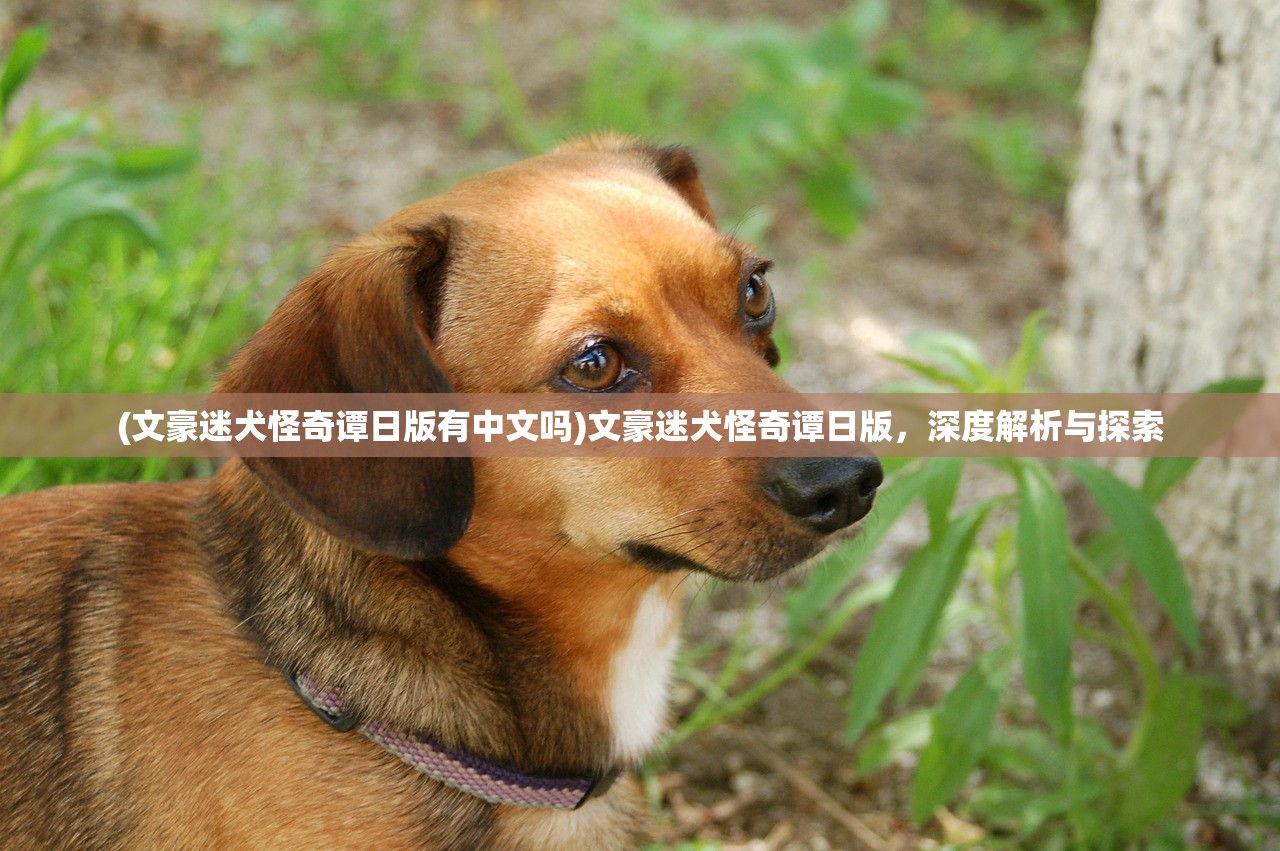 (文豪迷犬怪奇谭日版有中文吗)文豪迷犬怪奇谭日版，深度解析与探索