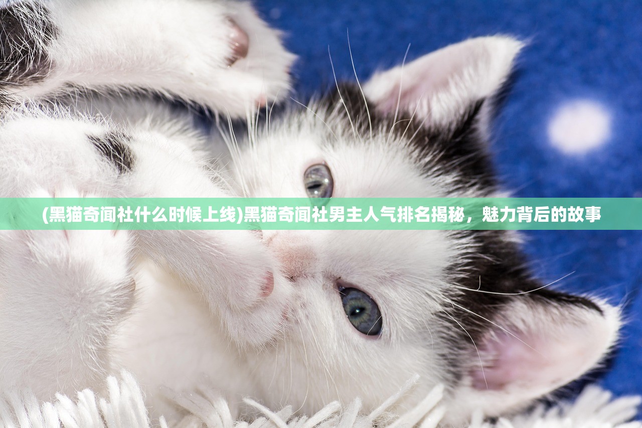 (黑猫奇闻社什么时候上线)黑猫奇闻社男主人气排名揭秘，魅力背后的故事