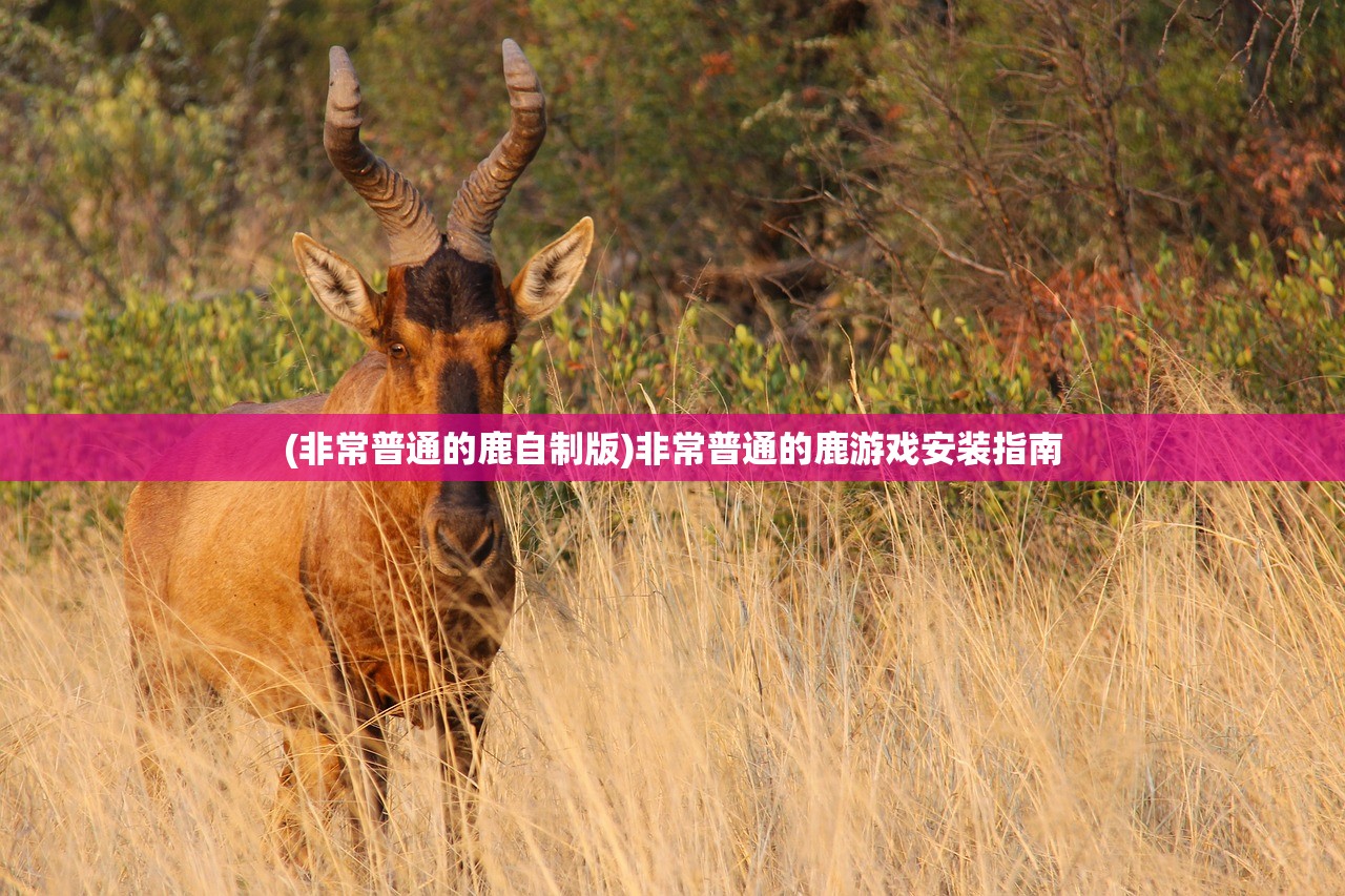 (江湖晃荡是什么意思)江湖动荡，探寻背后的深层含义与影响