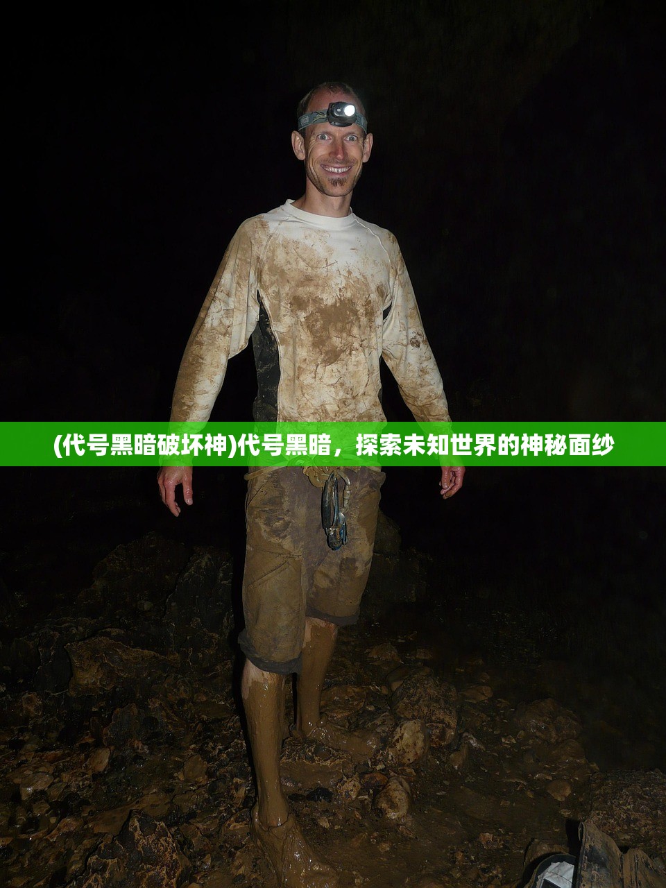 (大王之梦游戏在哪个平台可以玩)大王之梦游戏，深度探索与常见问题解答