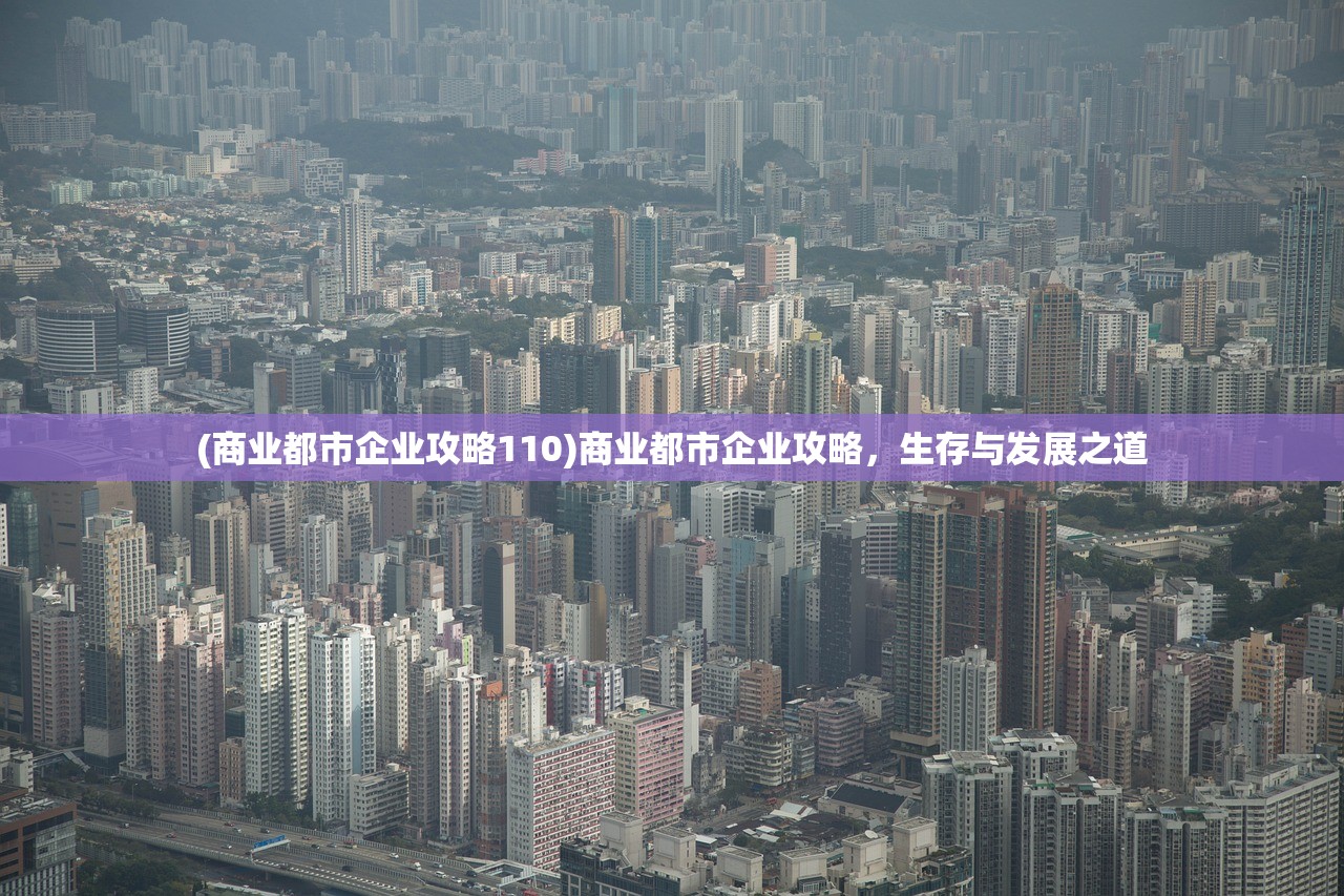 (商业都市企业攻略110)商业都市企业攻略，生存与发展之道