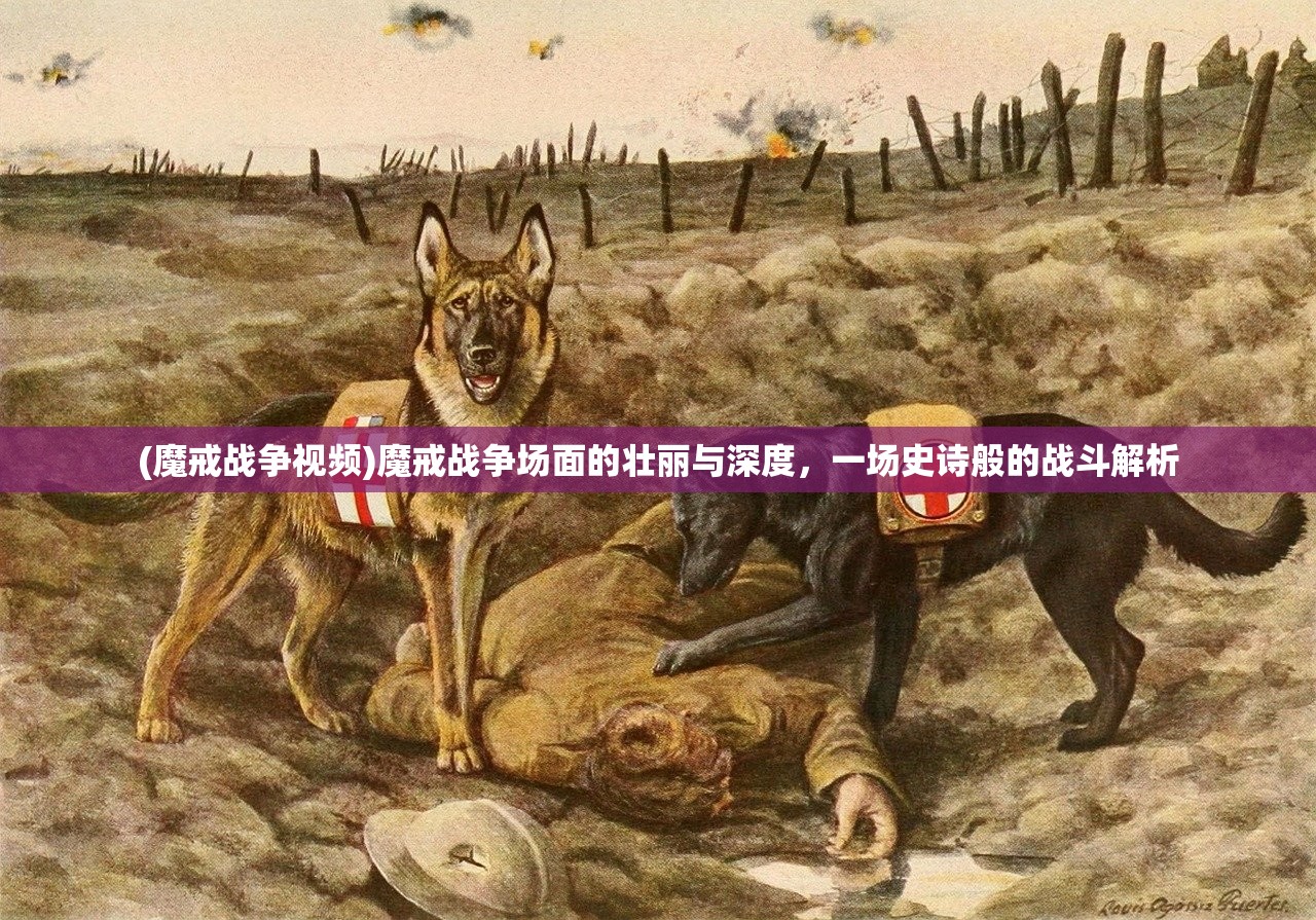 (上阳赋剧情介绍分集)上阳赋剧情深度解析与介绍