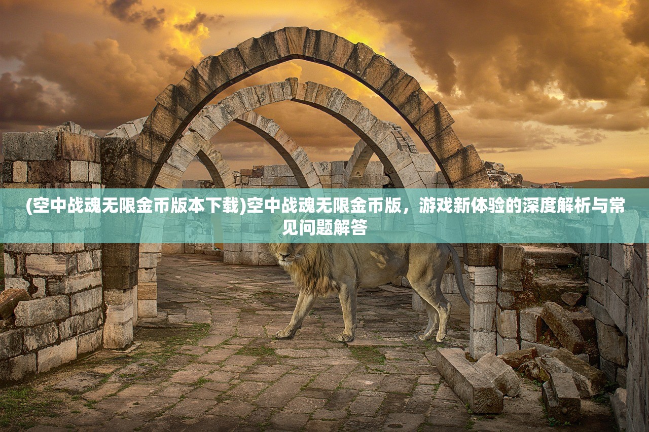 (空中战魂无限金币版本下载)空中战魂无限金币版，游戏新体验的深度解析与常见问题解答