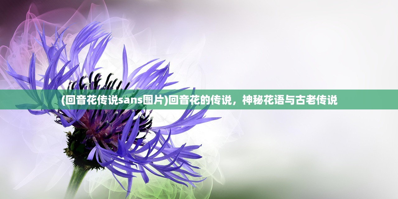 (回音花传说sans图片)回音花的传说，神秘花语与古老传说