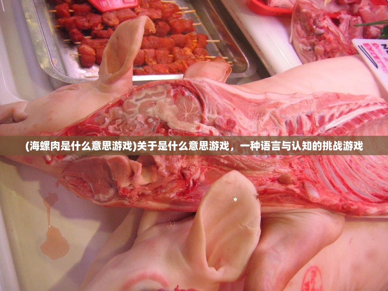 (海螺肉是什么意思游戏)关于是什么意思游戏,一种语言与认知的挑战游戏 (海螺肉是什么意思游戏)关于是什么意思游戏,一种语言与认知的挑战游戏