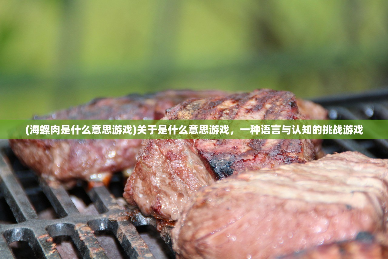 (海螺肉是什么意思游戏)关于是什么意思游戏,一种语言与认知的挑战游戏 (海螺肉是什么意思游戏)关于是什么意思游戏,一种语言与认知的挑战游戏
