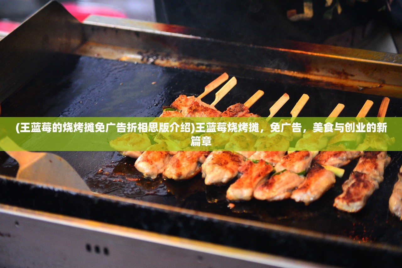 (王蓝莓的烧烤摊免广告折相思版介绍)王蓝莓烧烤摊，免广告，美食与创业的新篇章