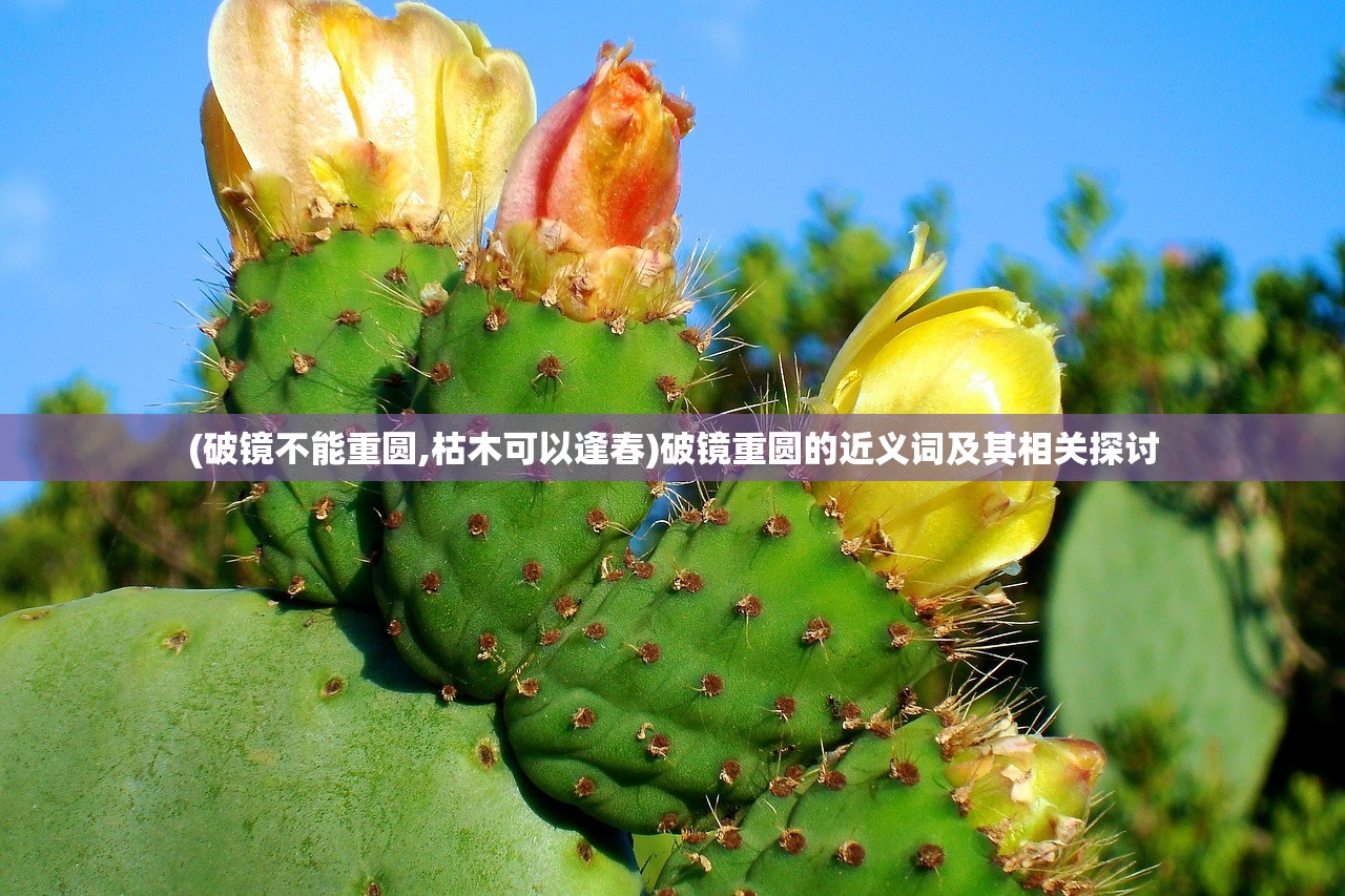 (破镜不能重圆,枯木可以逢春)破镜重圆的近义词及其相关探讨 (破镜不能重圆,枯木可以逢春)破镜重圆的近义词及其相关探讨