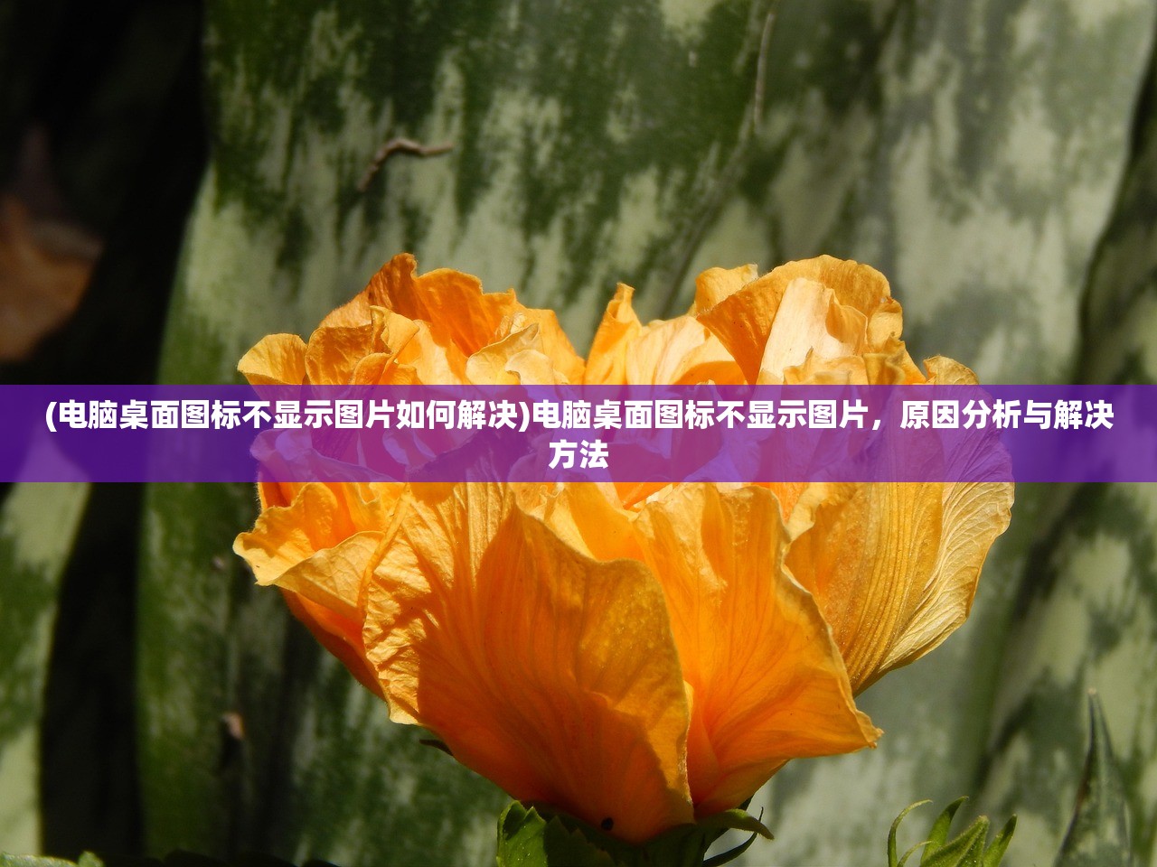(电脑桌面图标不显示图片如何解决)电脑桌面图标不显示图片，原因分析与解决方法
