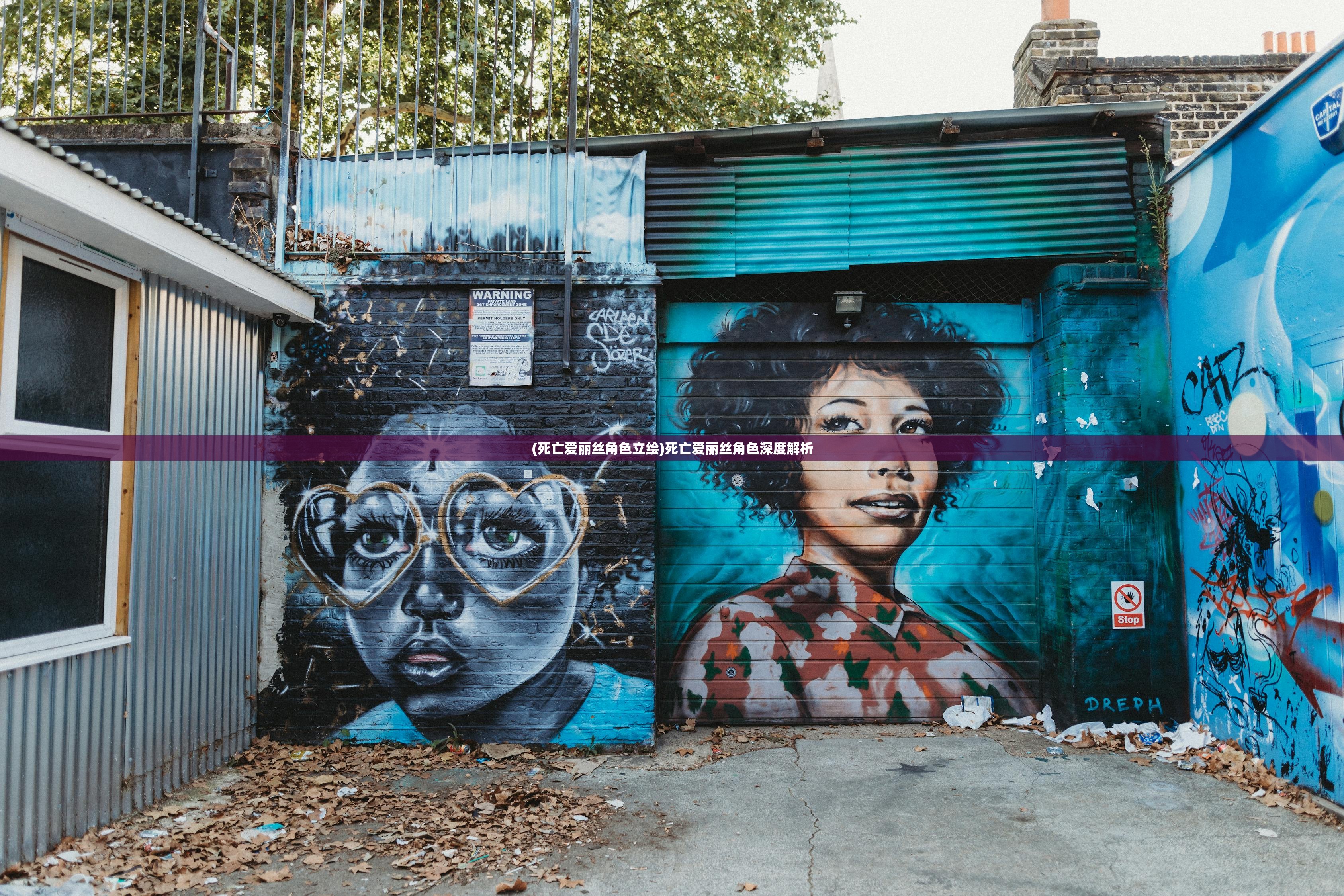 (死亡爱丽丝角色立绘)死亡爱丽丝角色深度解析 (死亡爱丽丝角色立绘)死亡爱丽丝角色深度解析