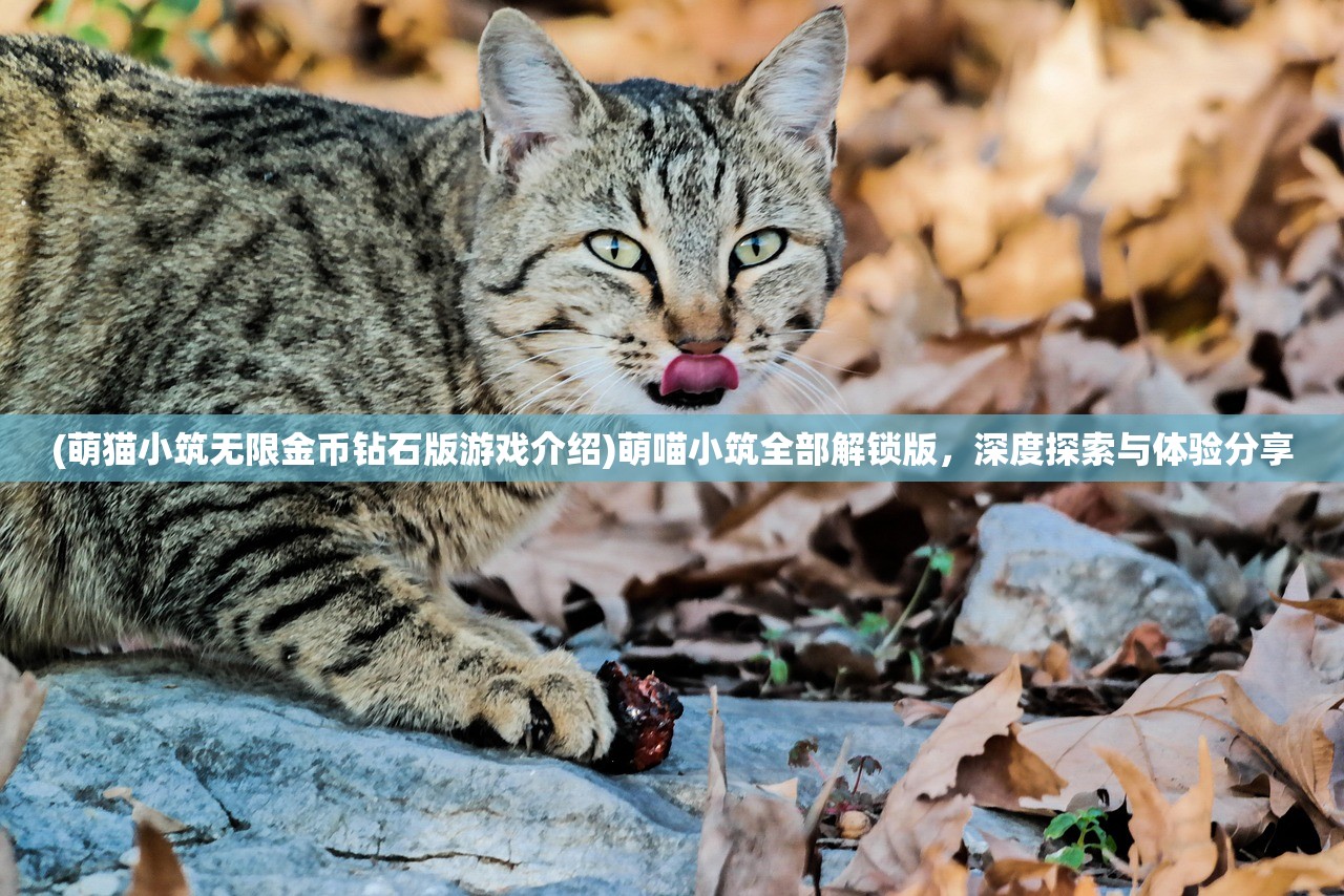 (萌猫小筑无限金币钻石版游戏介绍)萌喵小筑全部解锁版，深度探索与体验分享