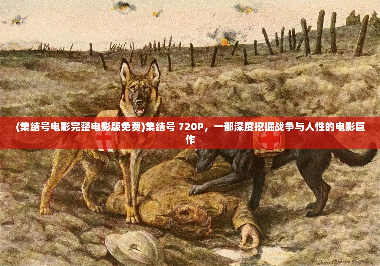 (集结号电影完整电影版免费)集结号 720P，一部深度挖掘战争与人性的电影巨作