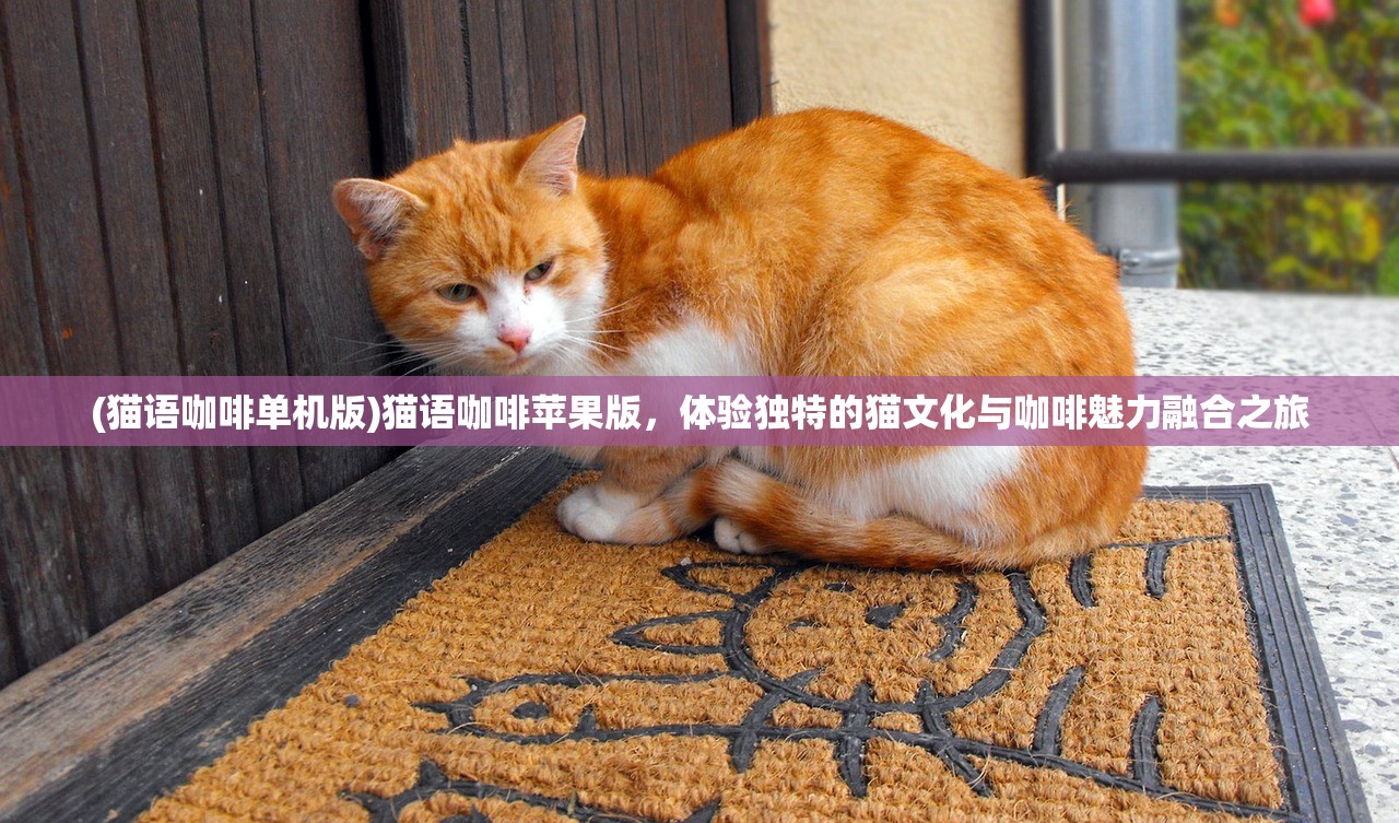 (猫语咖啡单机版)猫语咖啡苹果版，体验独特的猫文化与咖啡魅力融合之旅